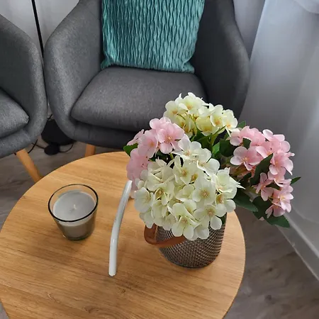 Calme - Wifi - Netflix - Stationnement Gratuit Apartament *